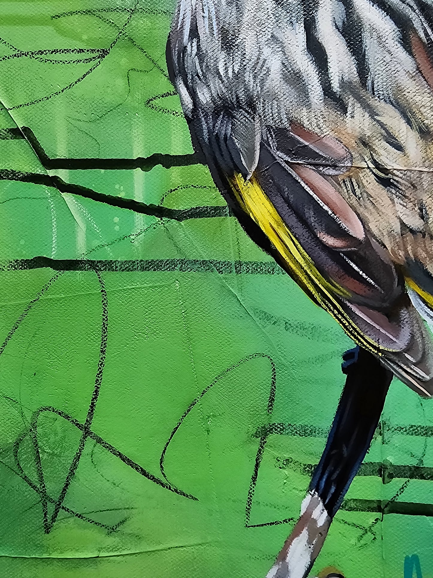Close-up of a bird with a green background