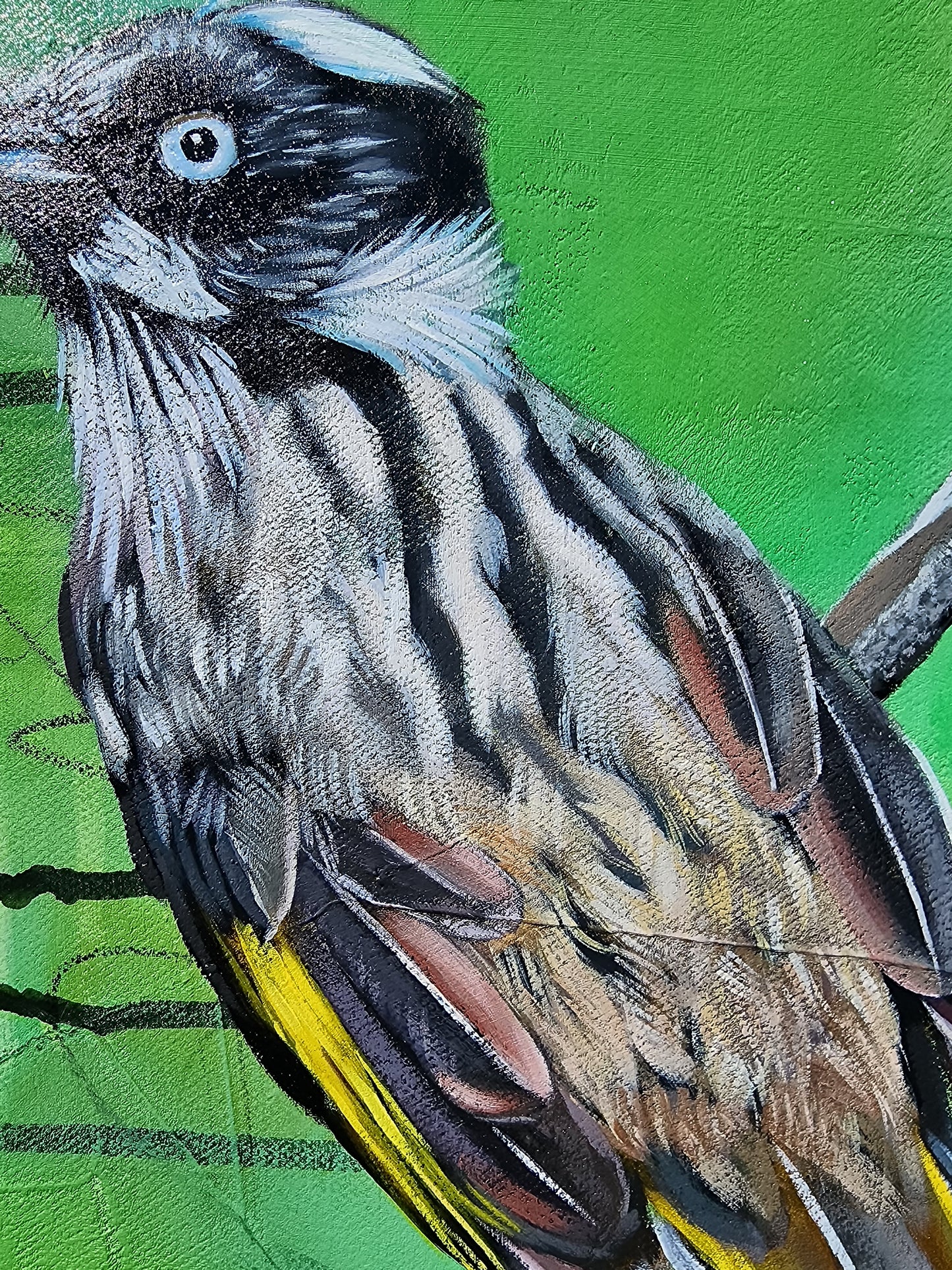 Close-up of a bird with detailed feathers on a green background