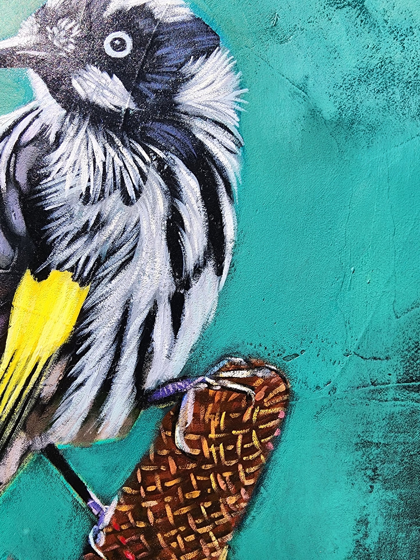 Close-up of a honey eater with a textured teal background