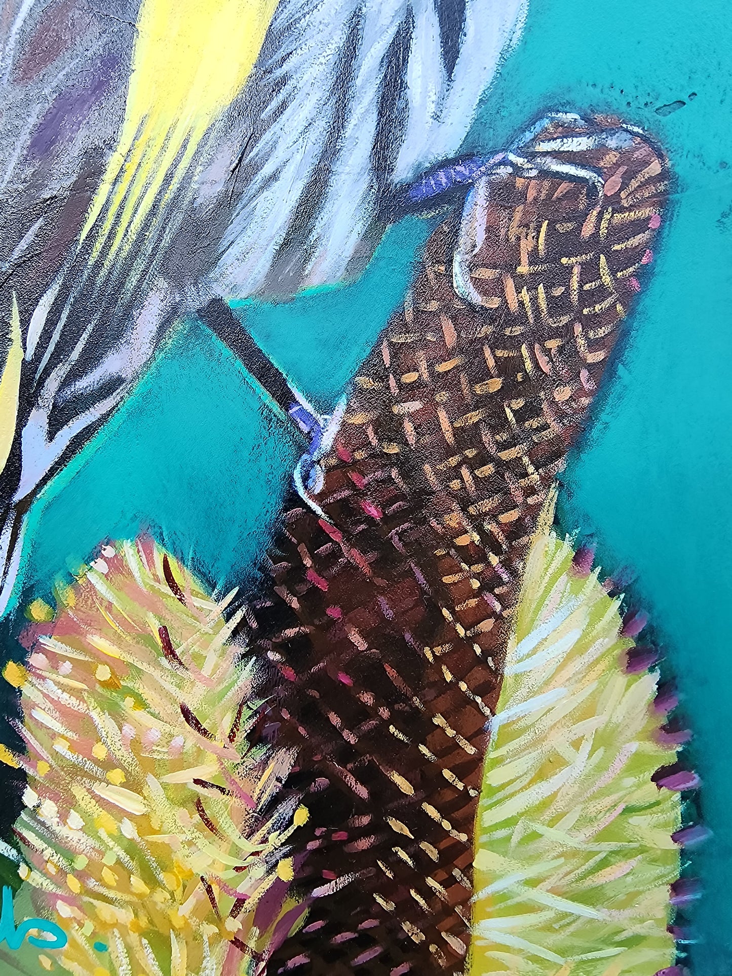 Colorful banksia flower close -up with a teal textured background.