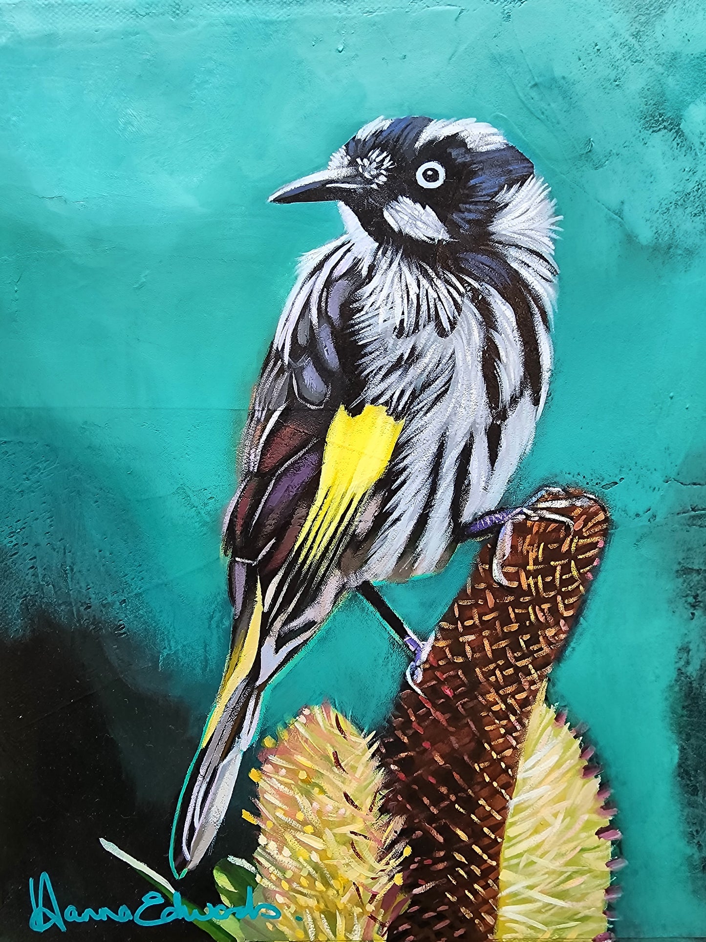 Colorful painting of a bird on a banksia flower on a textured teal background