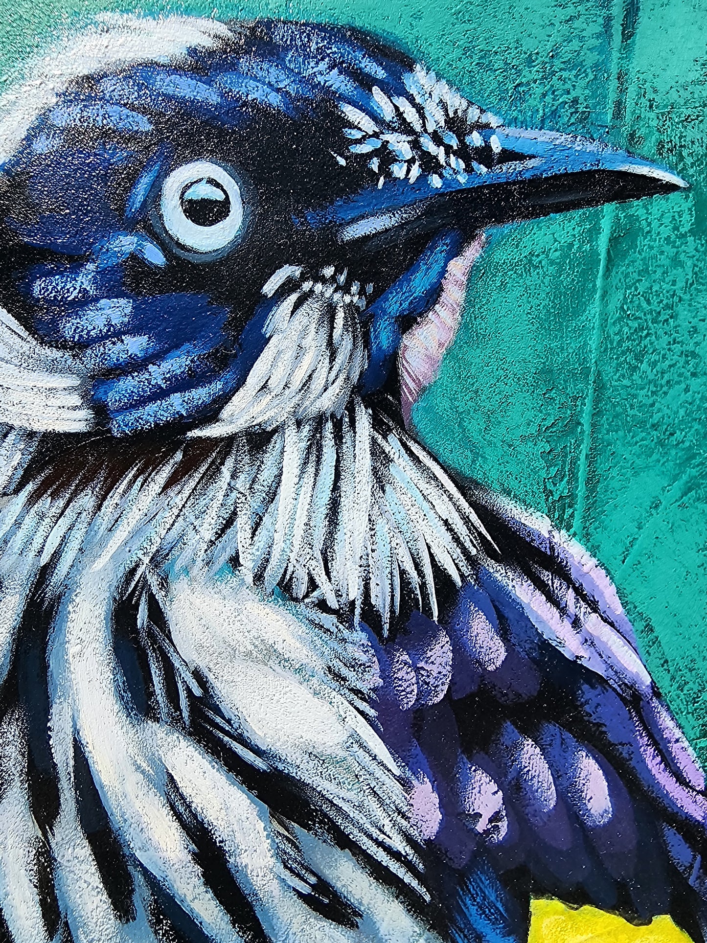 Close-up of bird with a textured teal background