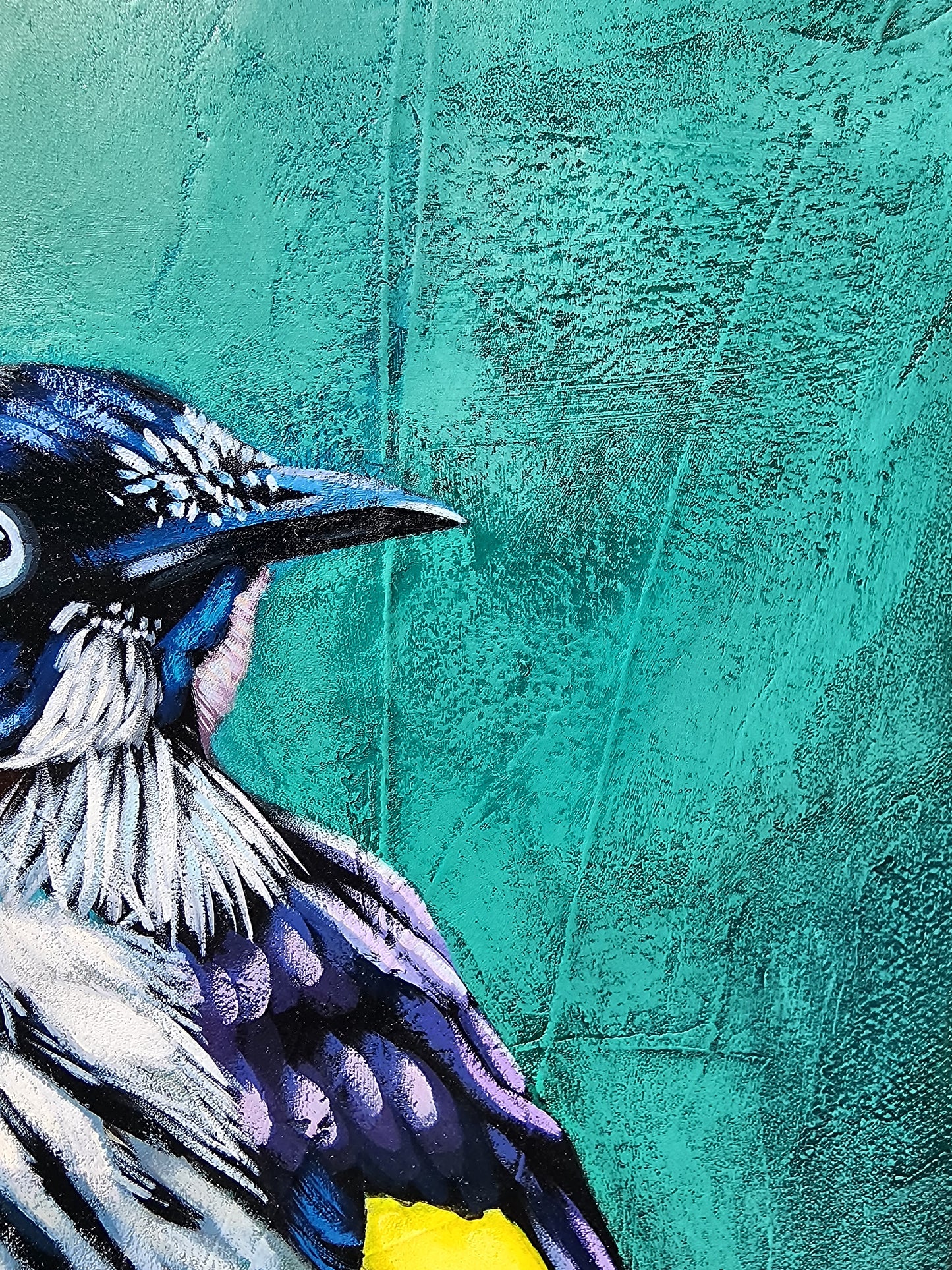 Close-up of a colorful bird with a teal textured background