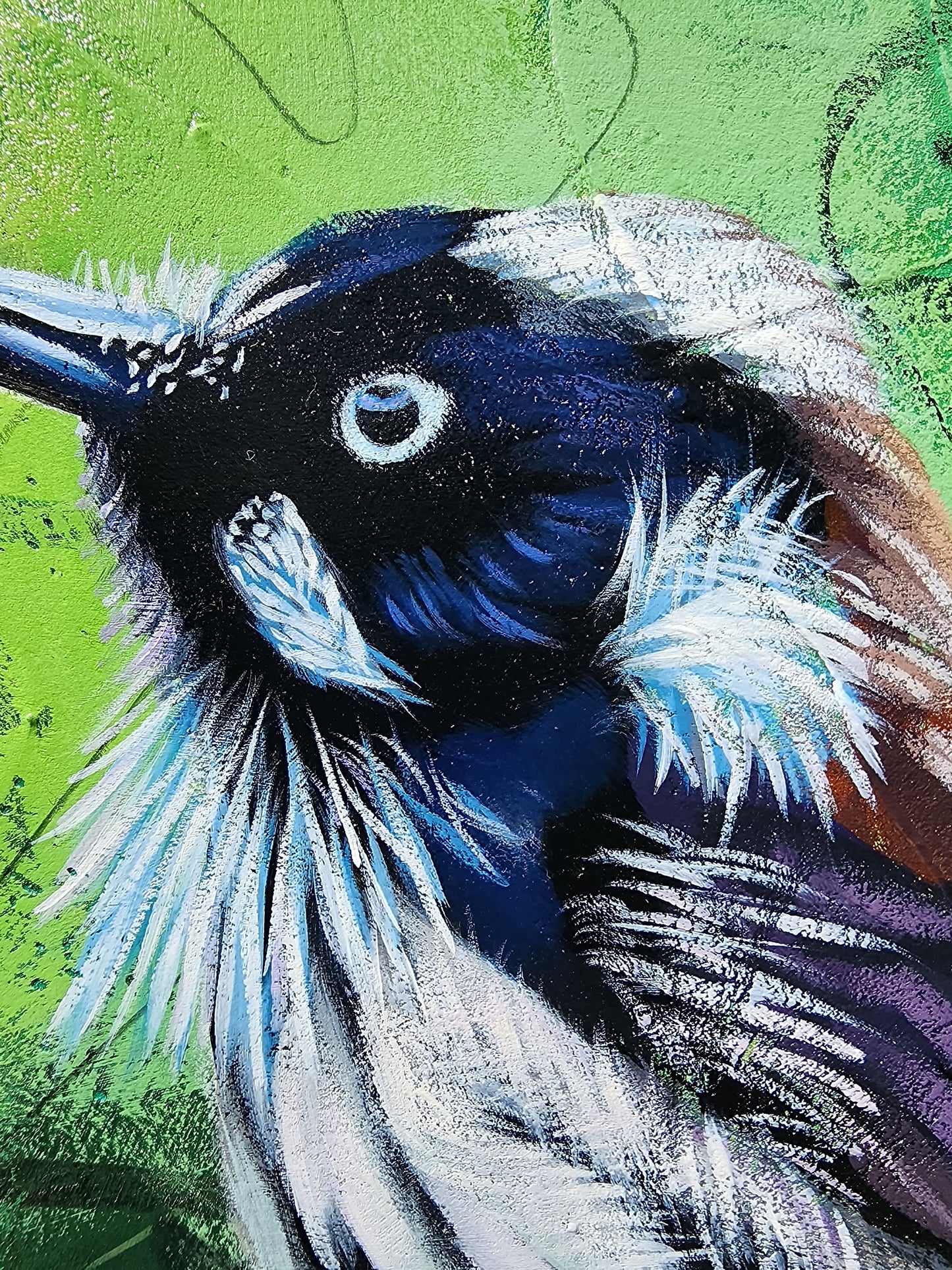 Close-up of a colorful bird with a green background