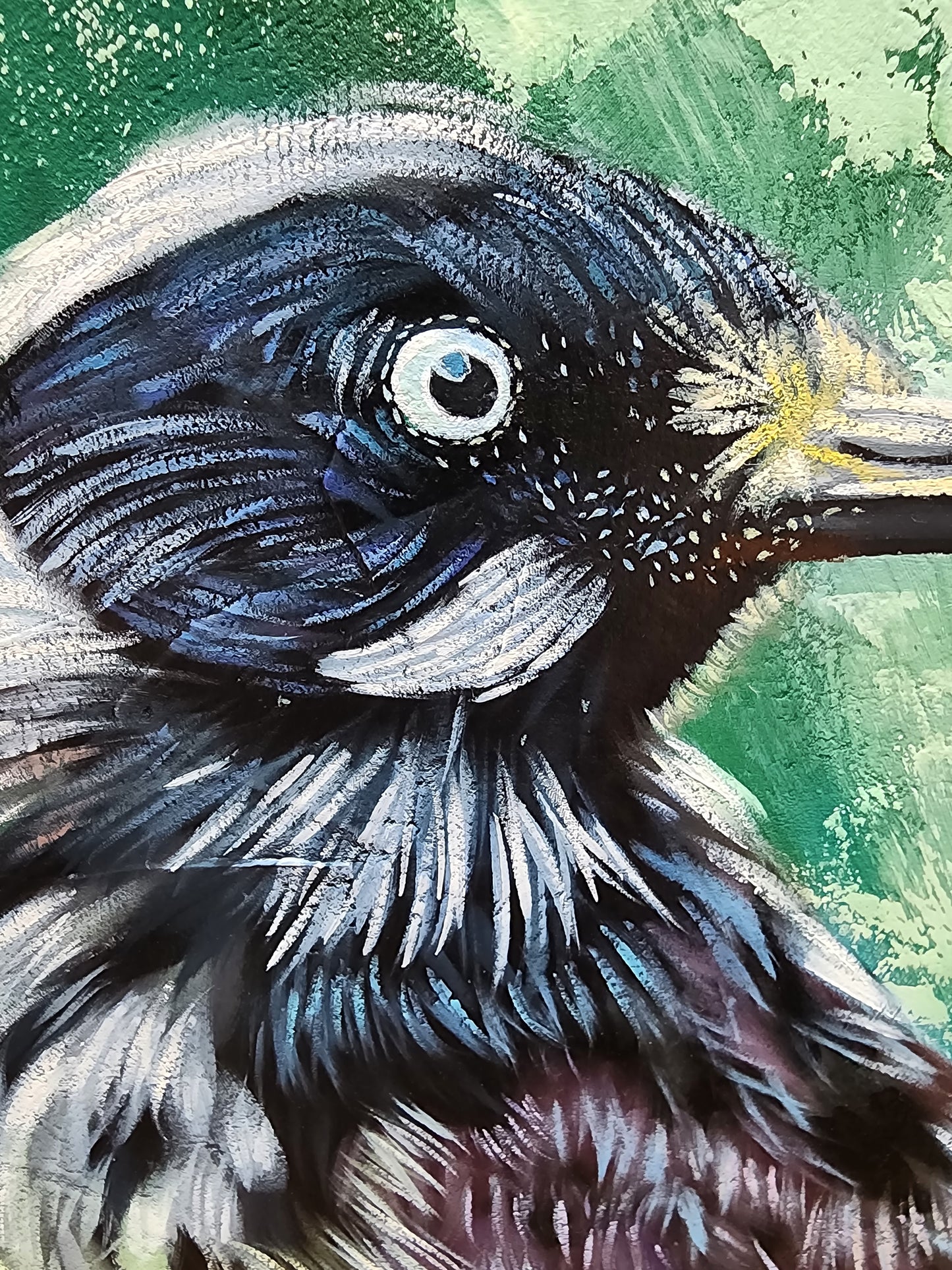 Close-up of a birds head with a textured green background