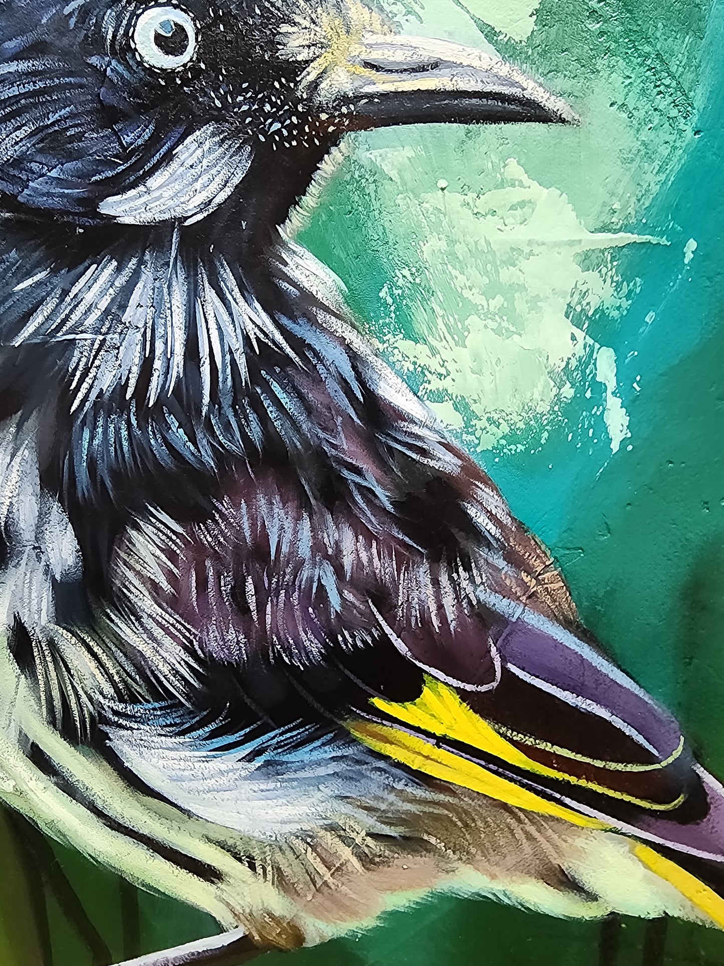 Close-up of a bird with detailed feathers against a green background