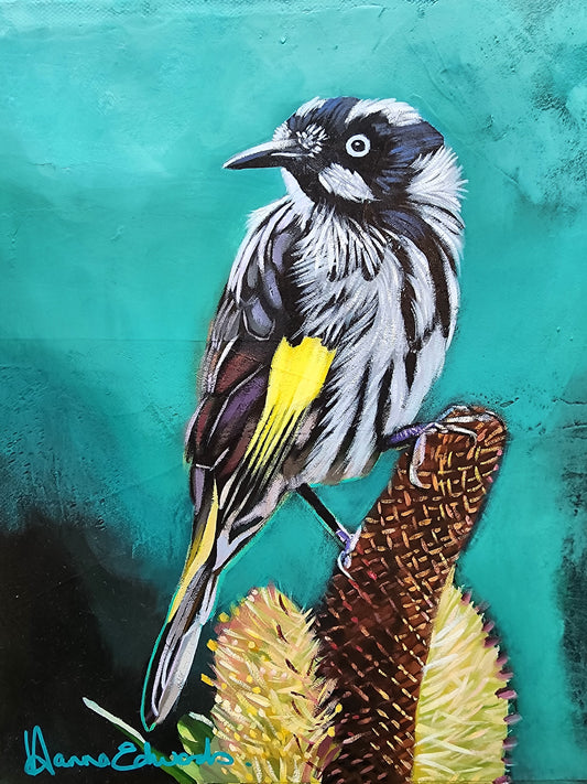 Colorful painting of a bird on a banksia flower on a textured teal background