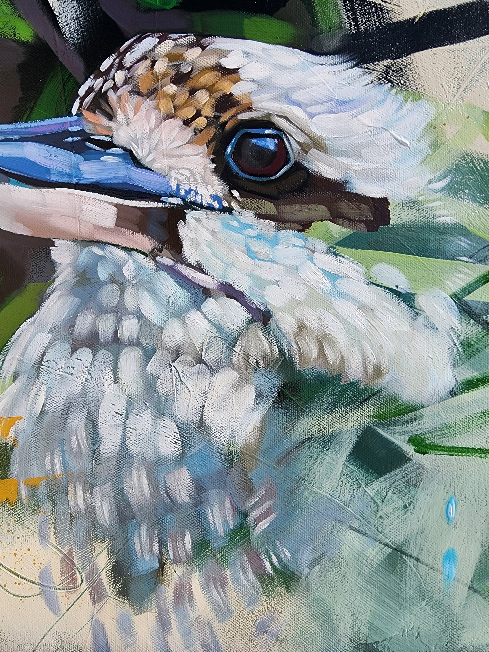 details of kookaburra