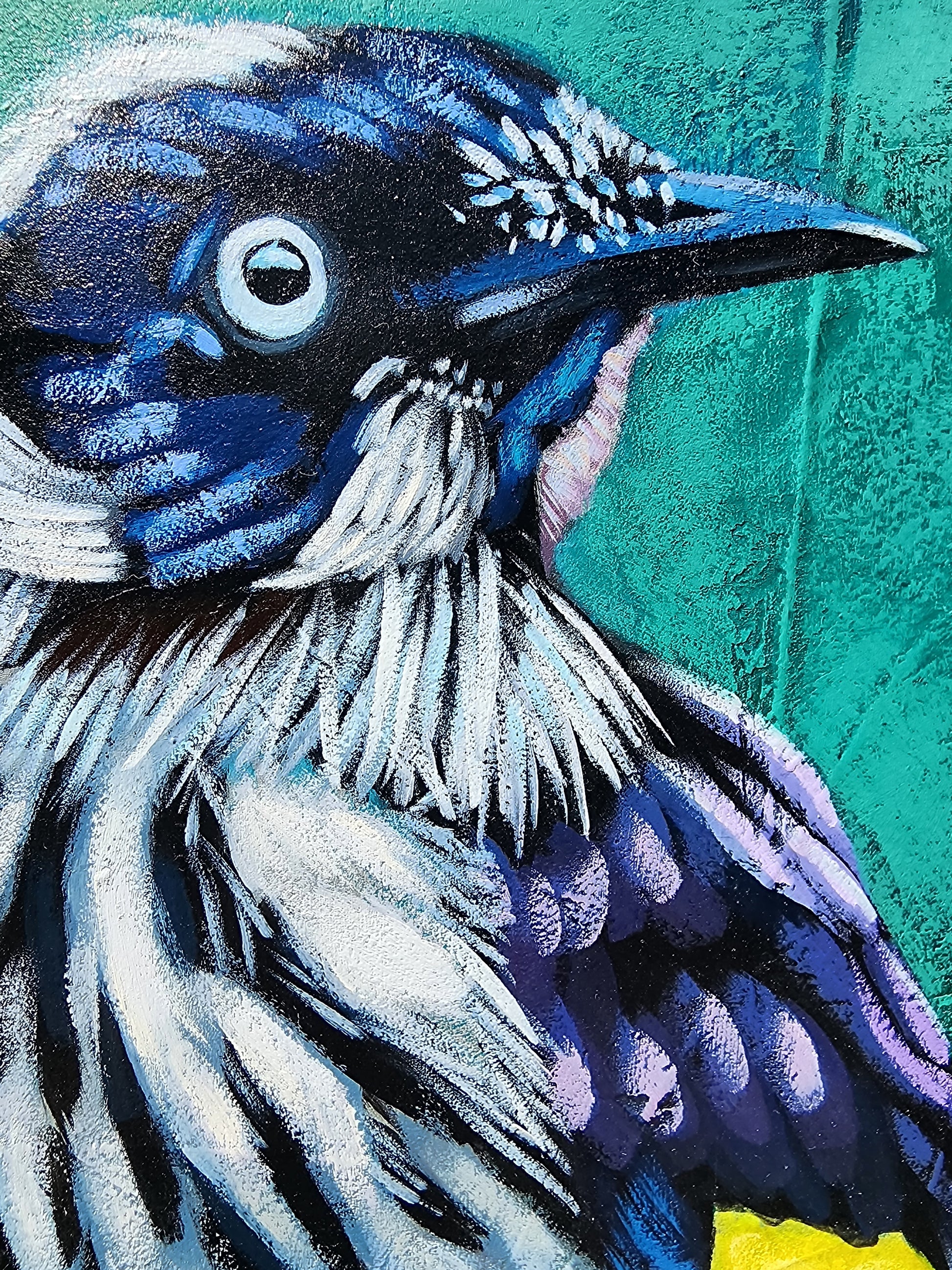 Close-up of bird with a textured teal background