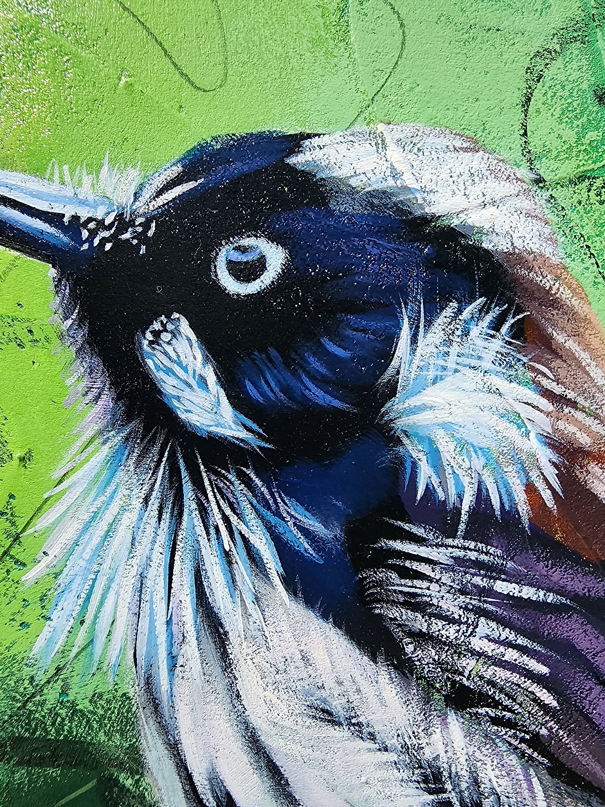 Close-up of a colorful bird with a green background