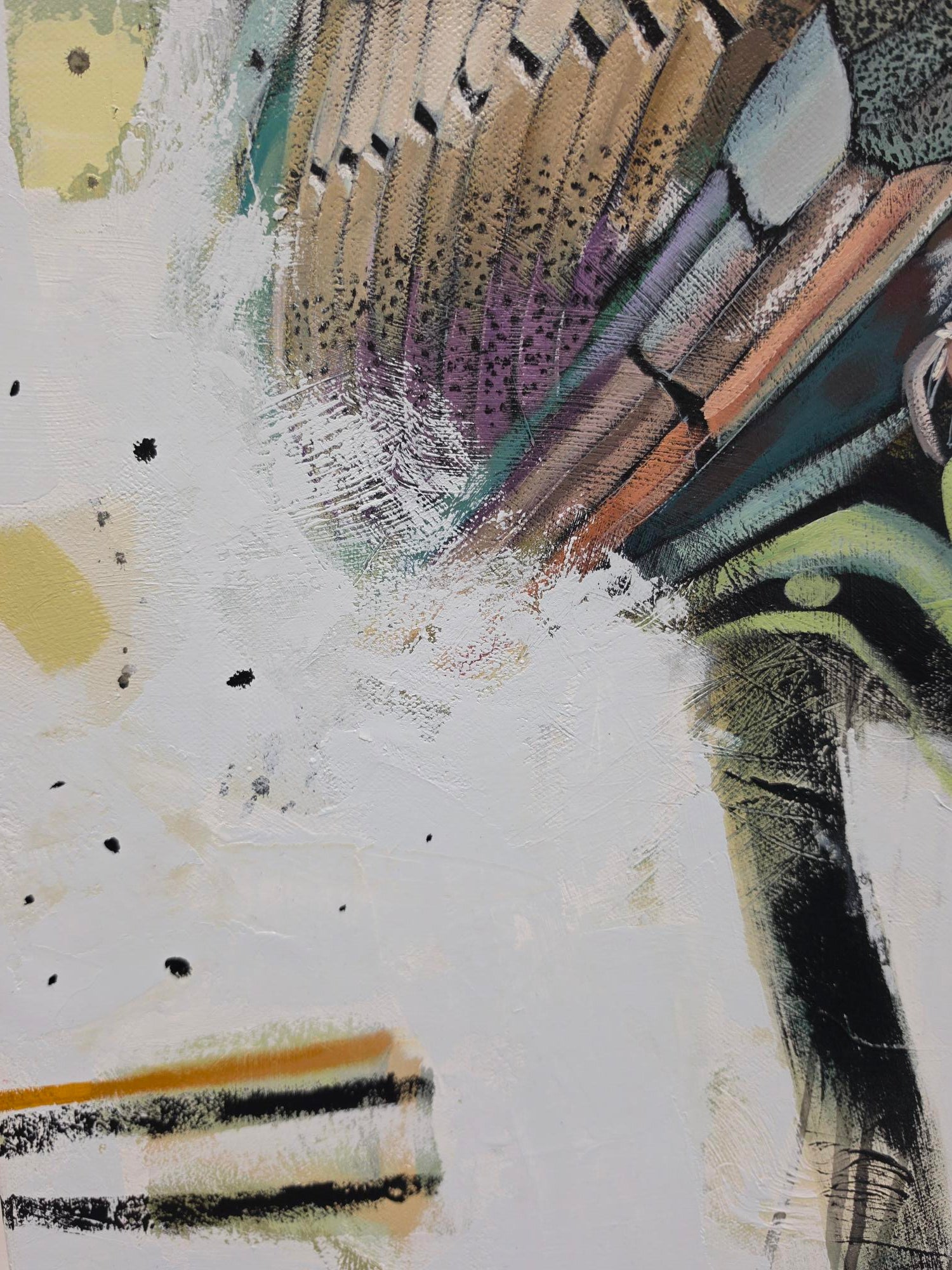 close up of owls feathers and abstract elements