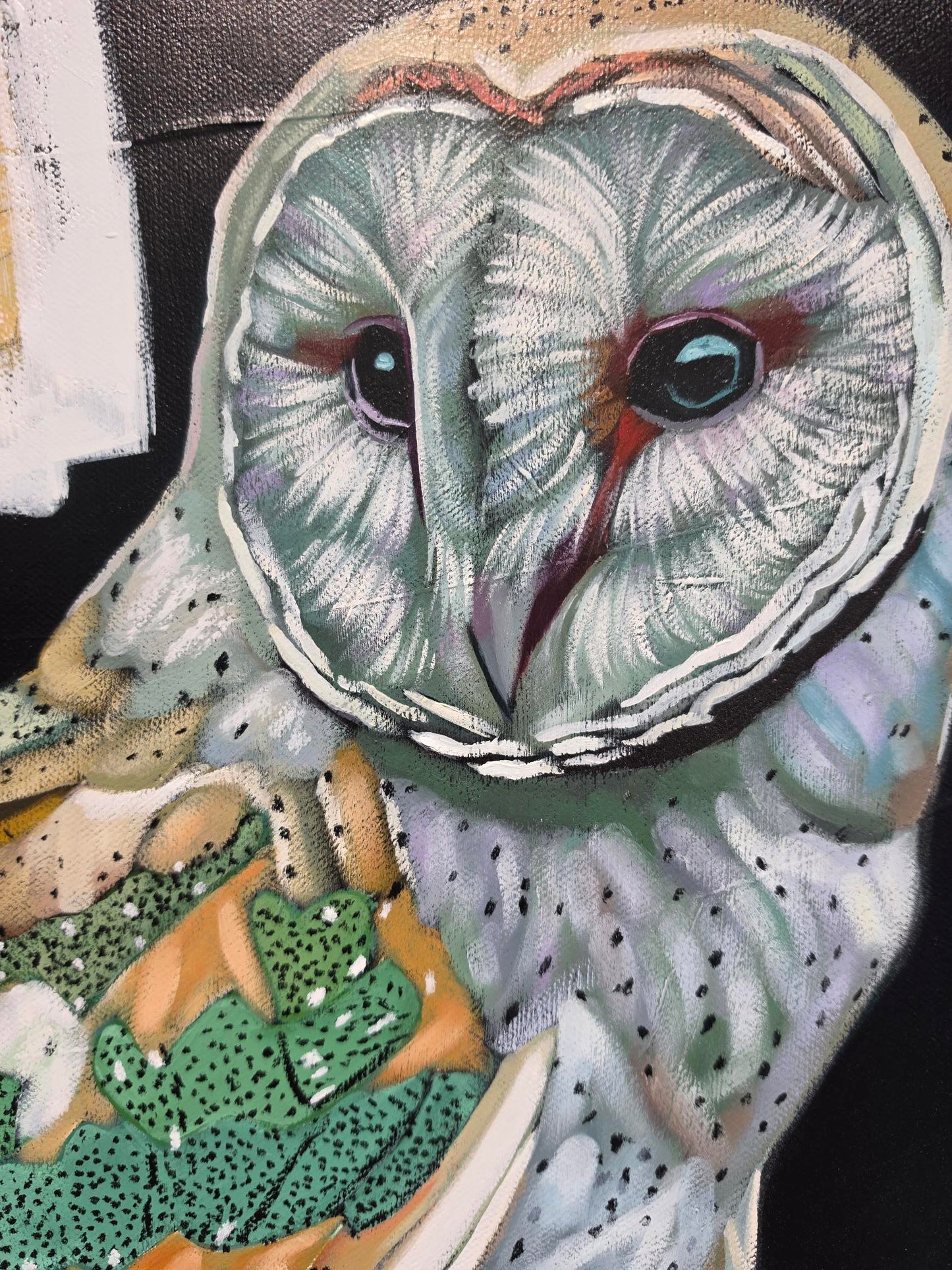 Close up of owls face