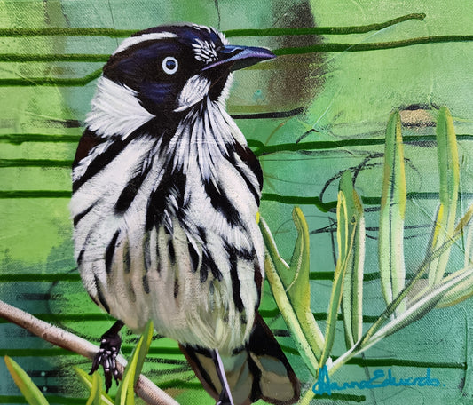 Black and white bird painting on a green background