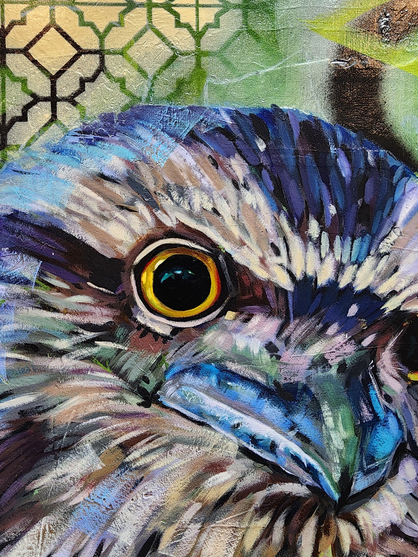Tawny frogmouth painting details