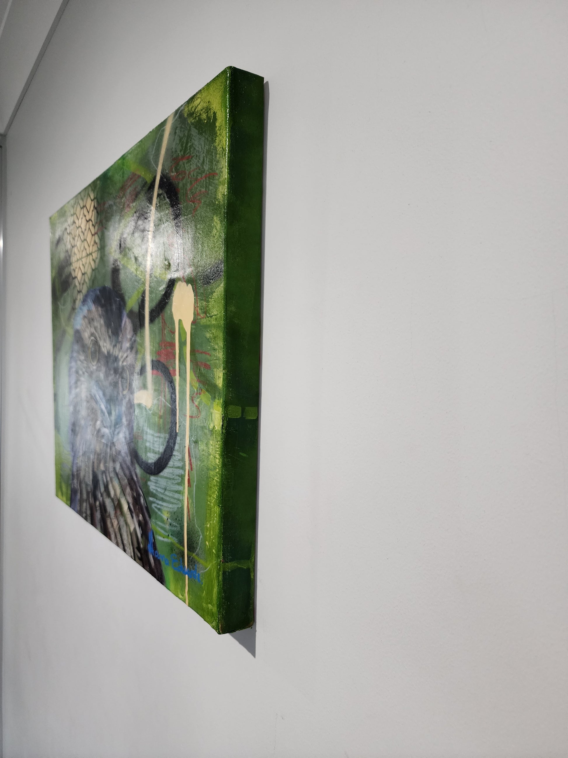 Tawny frogmouth painting sides of canvas